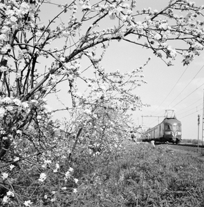 151013 Afbeelding van een electrisch treinstel mat. 1946 van de N.S. in een landschap met bloeiende bomen ter hoogte ...